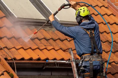 Démoussage et hydrofuge de toiture à Luzy